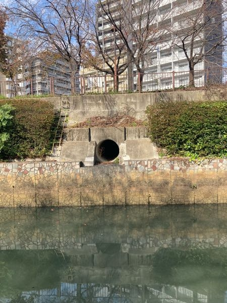 川沿いのこういうトンネルはどこに続いているのですか？そもそも人が入るためのものでしょうか
