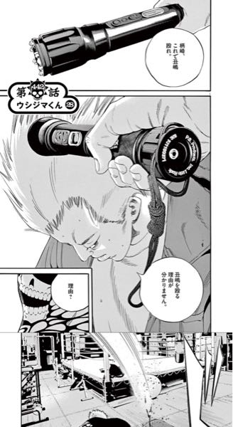ウシジマくんに良く出てくるこの武器？って何なんですか？ライト