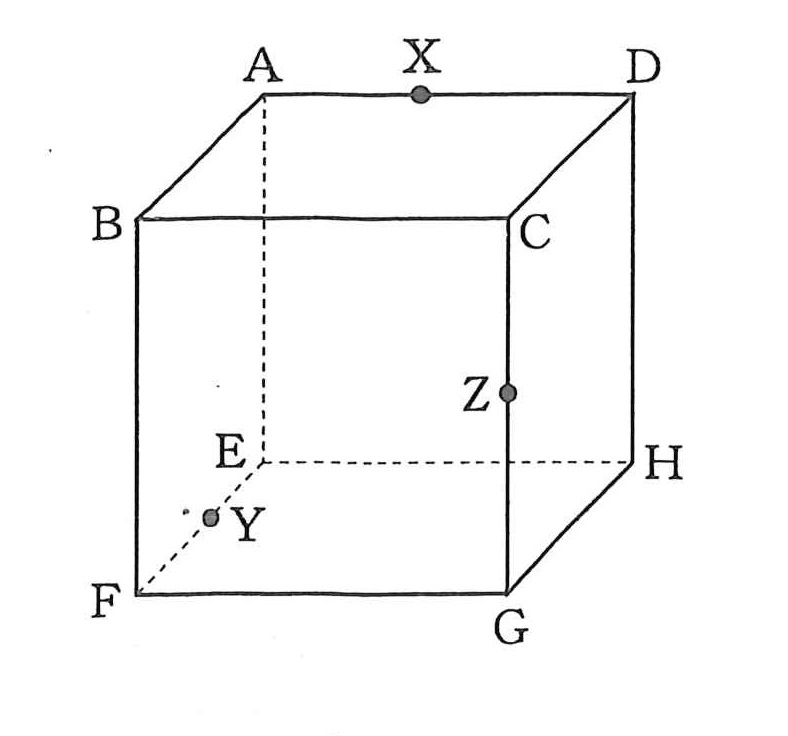 中１数学 下の図のように、１辺の長さが4cmの立方体がある。AD、EF、CGの中点をそれぞれX、Y、Zとし、３点を通るように立方体を切断する。 このとき切断面の形と切断面の面積を教えてください。 くわしい解説でお願いします。