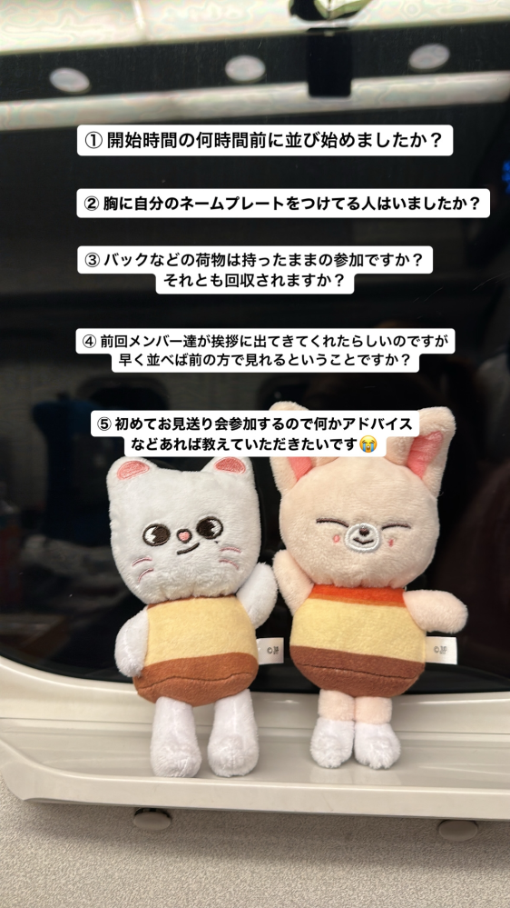 &TEAMの全員お見送り会に当選したのですが、どんな感じなんですか