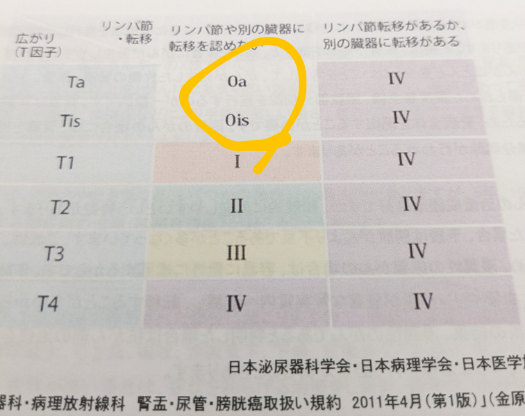 癌のステージの読み方で質問。黄色のマーキングした所の読み方は ゼロエー ゼロアイエス ですか？ オーエー オーアイエスですか？