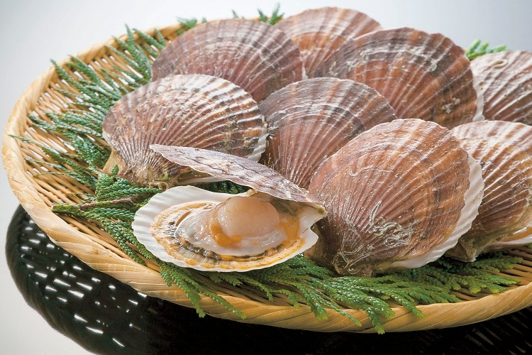 あなたの好きな貝類は何ですか？ どうのように料理したものが好きですか？