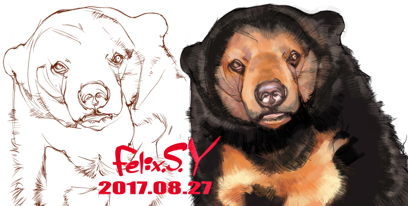 デジタルで動物の絵を描きまたよ。 何の動物を描いたか、分かりましゅかあ?