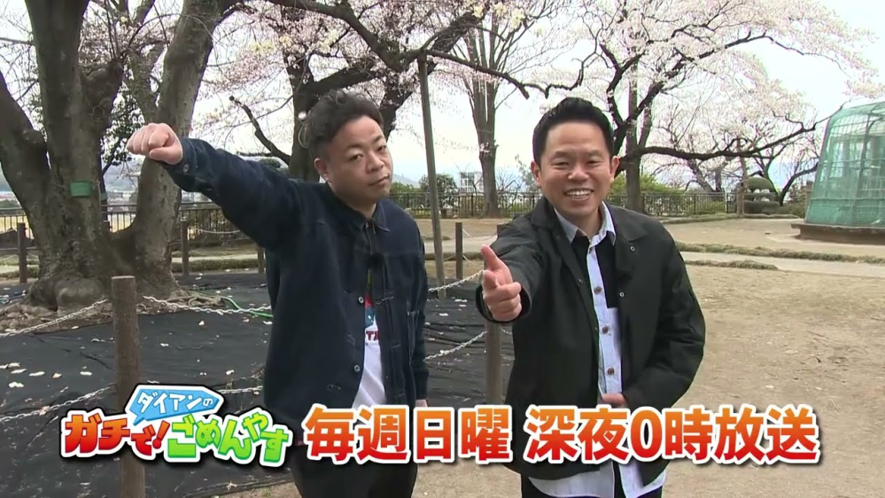 画像でひと言、お願い致します。