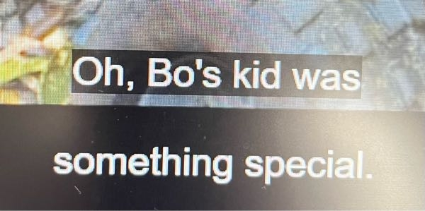 トイストーリーのセリフなんですが、「Bo's kid was something speceial.」のBo'sはBo isの略ですか？has？