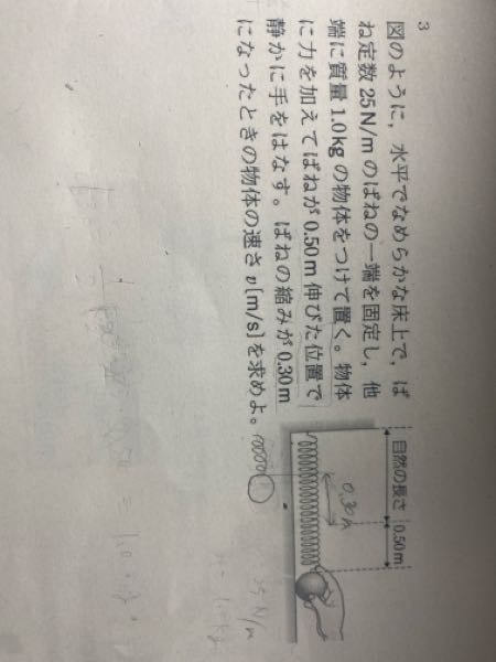 バネって伸ばして引っ張って離したとき、自然長より短くなることってあるのでしょうか？ 下の図は違いますか？