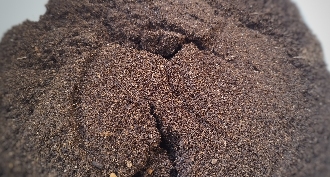古い培養土をふるいにかけて落ちた土です。 これが微塵ですか？