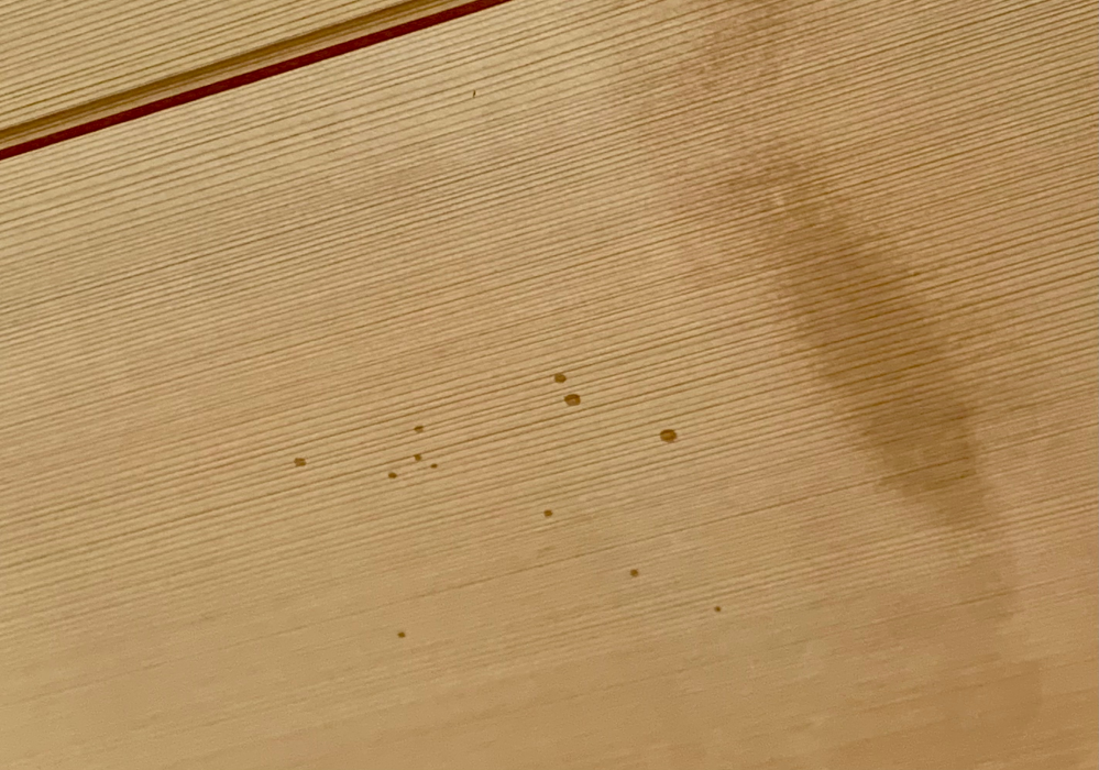 畳の部屋の天井に丸い転々が 最近できました。 これは何でしょうか。 畳の部屋に洗濯物を干すことも多くて それも関係しているんでしょうか？