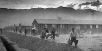 第二次大戦中、アメリカであった日系人の「強制収容」で質問します。 □ 西海岸では１２万人の日系人が強制収容されました。一方で「市民権」を 持たないドイツ人１万人、イタリア人３千人が強制収容されたそうです。 □ ＜これが知りたいです＞ 日系人は２世、3世の「市民権」を持つ人まで強制収容されました。その 理由を教えてください。 □ ■ただの感想文、思い付きでなく、回答に至った根拠も教えてください。 □ ＜強制収容所＞