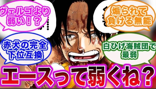 ワンピースのエースの強さについて エースの強さがイマイチ分かりません。 大した戦闘シーンがないまま黒ひげに敗れ捕まり、マグマグにやられて終了。 後から鬼ヶ島でヤマトと互角なシーンが出てきたりして、なんかパワーバランスに疑問が湧きませんか？