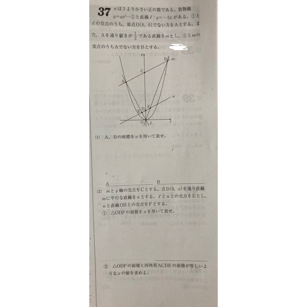 この問題全部解説お願いします