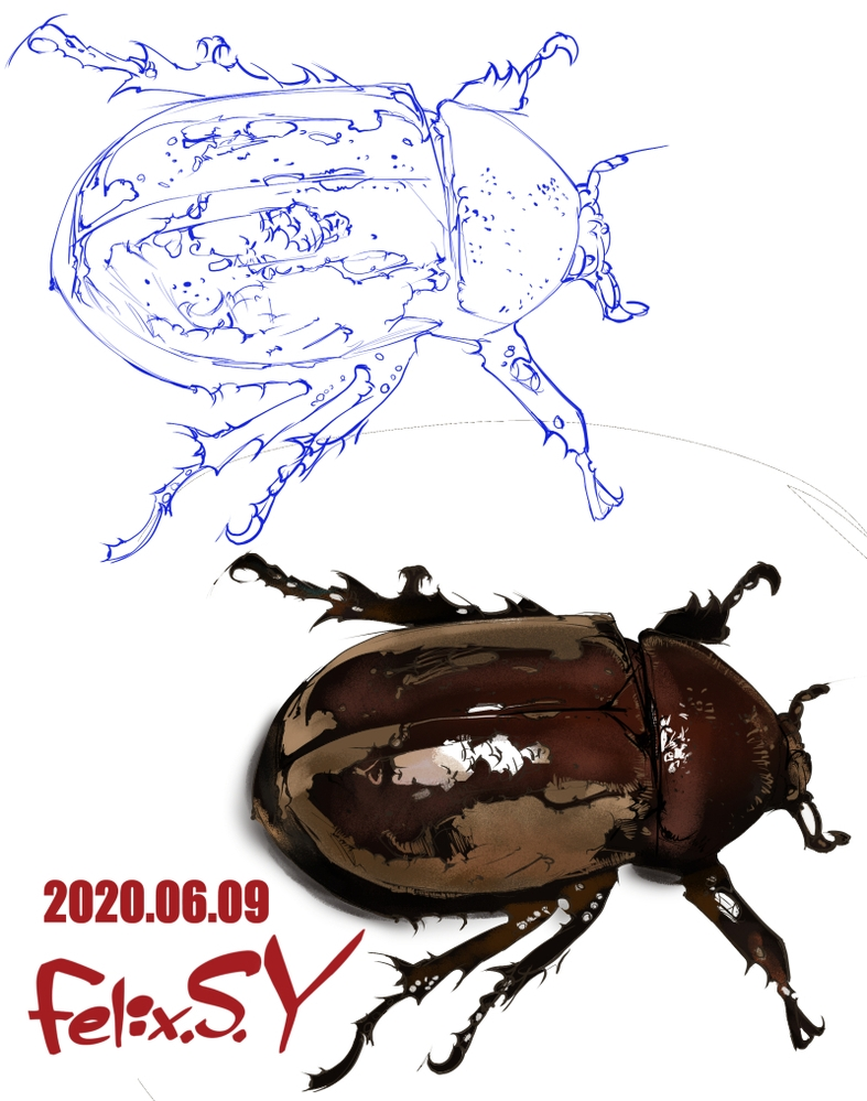 ★おはようごじゃいッマシュマロ！ ムシカテのみなシャン！ ボクは小学生でしゅ。 デジタルでムシを描きまた。何のムシを描いたか、分かりましゅか？
