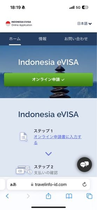 インドネシアビザについて質問。

e-VOAの申請はこのサイトで大丈夫でしょうか？ 