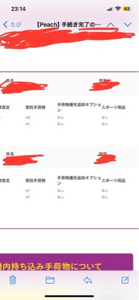 ピーチの飛行機に乗るのですが、受託手荷物×1と書いてあるのは20