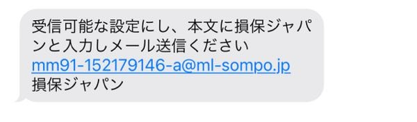 これは詐欺メールですかねそれともほんまに損保ジャパンのやつ