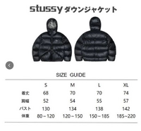 stussyのダウンジャケットを購入しようと考えているのですが