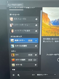 Adobe のPhotoshopについて質問です。 ベータ版Photoshopをダウンロードして使用していらのですが、ニューラルフィルターのクリエイティブ欄にあるはずの 背景クリエーター が見当たりません。
再起動や何やらしても出てこないのですが、原因や解決策を教えてほしいです。

Macバージョン11.4