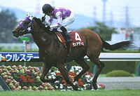 競馬ファンに質問です。「紫」のイメージの競走馬とは？馬名・メンコ・勝負服ｅｔｃ…で何が思い浮かびましたか？一頭だけ挙げてください。 ↓私はこの馬が出てきました。