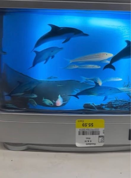 魚がいるよに見える水槽が欲しくて たまたまTikTokで見たレトロで可愛いのがあって欲しくて買おうと思ったんですけど こういうのってなんて言うんですかね??