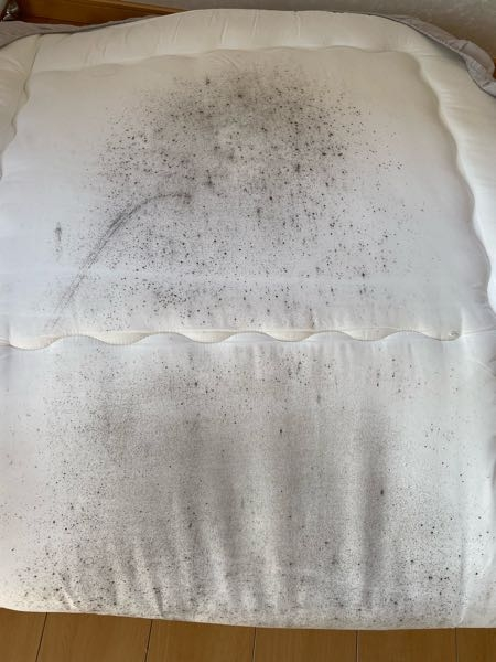 敷布団の裏がカビみたいなので汚れています。どうしたら白くなりますか？