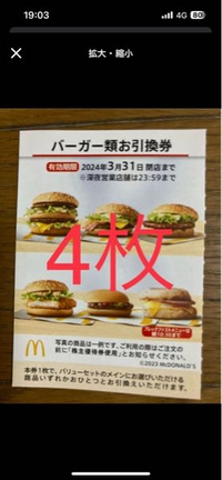 この株主優待券はバーガーのみなんですか？ポテトもドリンクもなかった