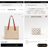 女子大学生になる姪っ子にプレゼントしようと思って、COACHのバッグかルイ・ヴィトンの財布で迷っています。女性の方に質問です。あなたならどちらが貰って嬉しいですか？ 