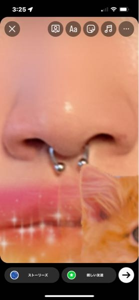 写真のようなセプタムのピアスは耳用のリングでもいいのでしょうか 