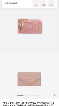 DiorかYSLのカードケースで迷ってます。キャッシュレス派なので