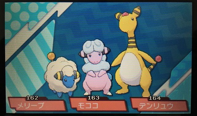 メリープとモココとデンリュウはこの中で誰が一番可愛いですか