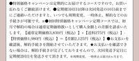 アイリーヌを公式サイトで購入しようと思っています。 公式で買うと、75パーセントoffされるらしいのですが、これって1回で解約OKなのですか？こういうネットサイトで買うのが初めてなので、誰か教えて欲しいです。社会の授業で継続しなきゃダメというものもあると教えてもらったので、どっちか分からないです。
写真乗せておきます
冷たい回答はお断りしております
よろしくお願いします(*^^*)