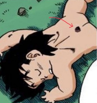 エロドラゴンボール 