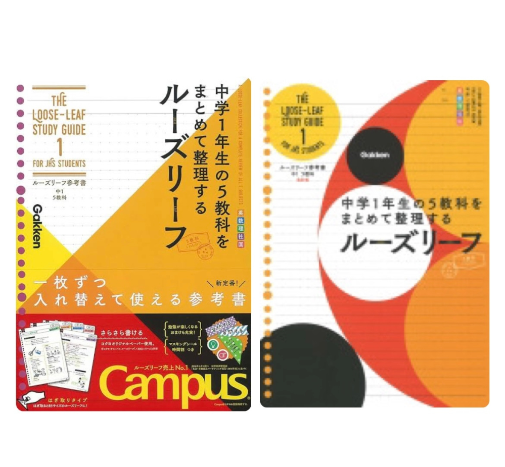 至急です！高校受験のためルーズリーフ参考書を買ったのですが左