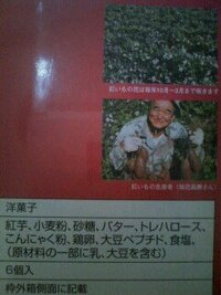 ５ヶ月の赤ちゃんに紅芋タルトを与えてはいけませんか 昨日 義弟から沖 Yahoo 知恵袋