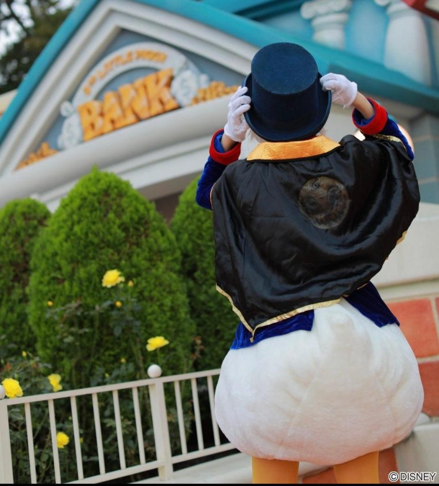 裁縫に詳しい方、ディズニーの仮装に詳しい方教えてください。今年のd