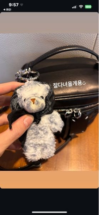 ドボイズのニューくんのストーリーに載っていたこのクマのぬいぐるみ 