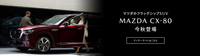 マツダて実質的にはＳＵＶしかないと思うのですが。
・・・・・・・・・・・・・・・・・・・・・・
ＣＸ-３にＣＸ-３０にＣＸ-５にＣＸ-６０にＭＸ-３０に。 さらにＣＸ-８０とかいうのも出るそうですが。
よく分からないのですが。
マツダてＳＵＶの一本背負いで大丈夫なのですか。
ロードスターはともかくとして。
ハッチバックの２とか３とかセダンの３とか６て放置されていますが。
マツダ...