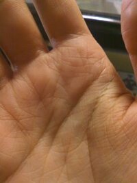 鼻の奥に白い毛が これってなんですか 今日 鼻毛カッターで鼻の奥の掃除 Yahoo 知恵袋
