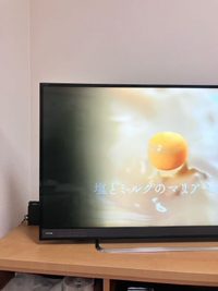 液晶テレビ（REGZA）の画面上に突然黒い影が出ました。結局は