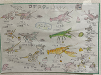 小学2年生の子どもが描いた絵です。お手本などはなく、ザリガニの 