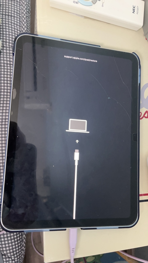 iPad (大至急)決定