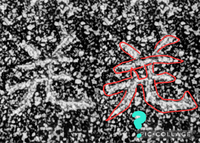 お墓に刻まれた文字なんですが、父が何と読むか気になるようで調べました…
ですが見つからないのです…
お分かりになる方いらっしゃいませんか？
よろしくお願いいたしますm(_ _)m 