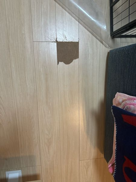 一条工務店の床の修理について犬が、フローリングの床材を剥がして 