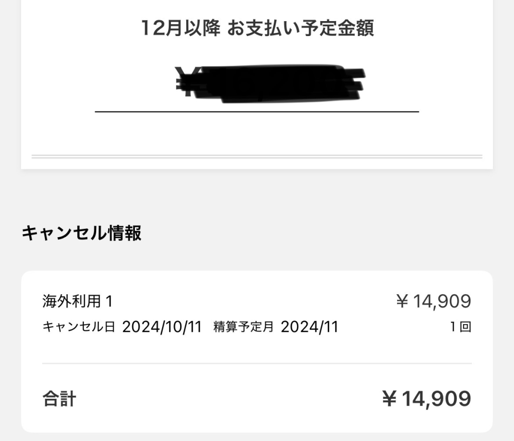 zen89さん専用（違う方の支払いはキャンセルとします、ご了承ください。 楽天カードで10月にキャンセルをしました。精算予定月が11月なんです