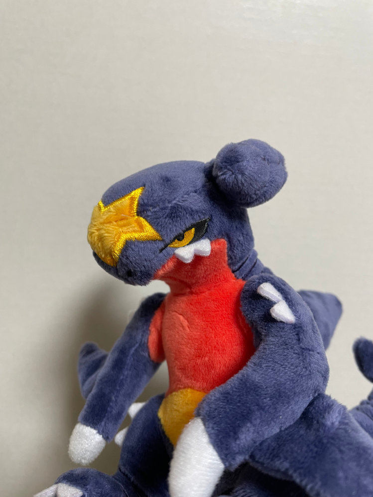 今日このぬいぐるみを買いました。(多分ポケモンfitっていうシリーズの