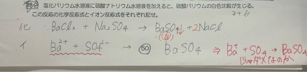 赤ペンで書いたような答えじゃだめなんですか？？ ＋だけか2＋の違いなんですけど！ 化学反応式についてです