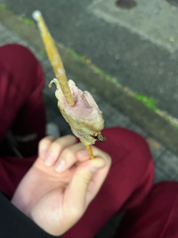 ファミマの鶏もも肉を食べたらとても赤かったんですけど大丈夫ですかね 