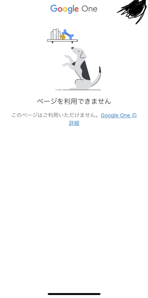 Google Oneを開くとこのように出ます。 原因、対処法を知りたいです！