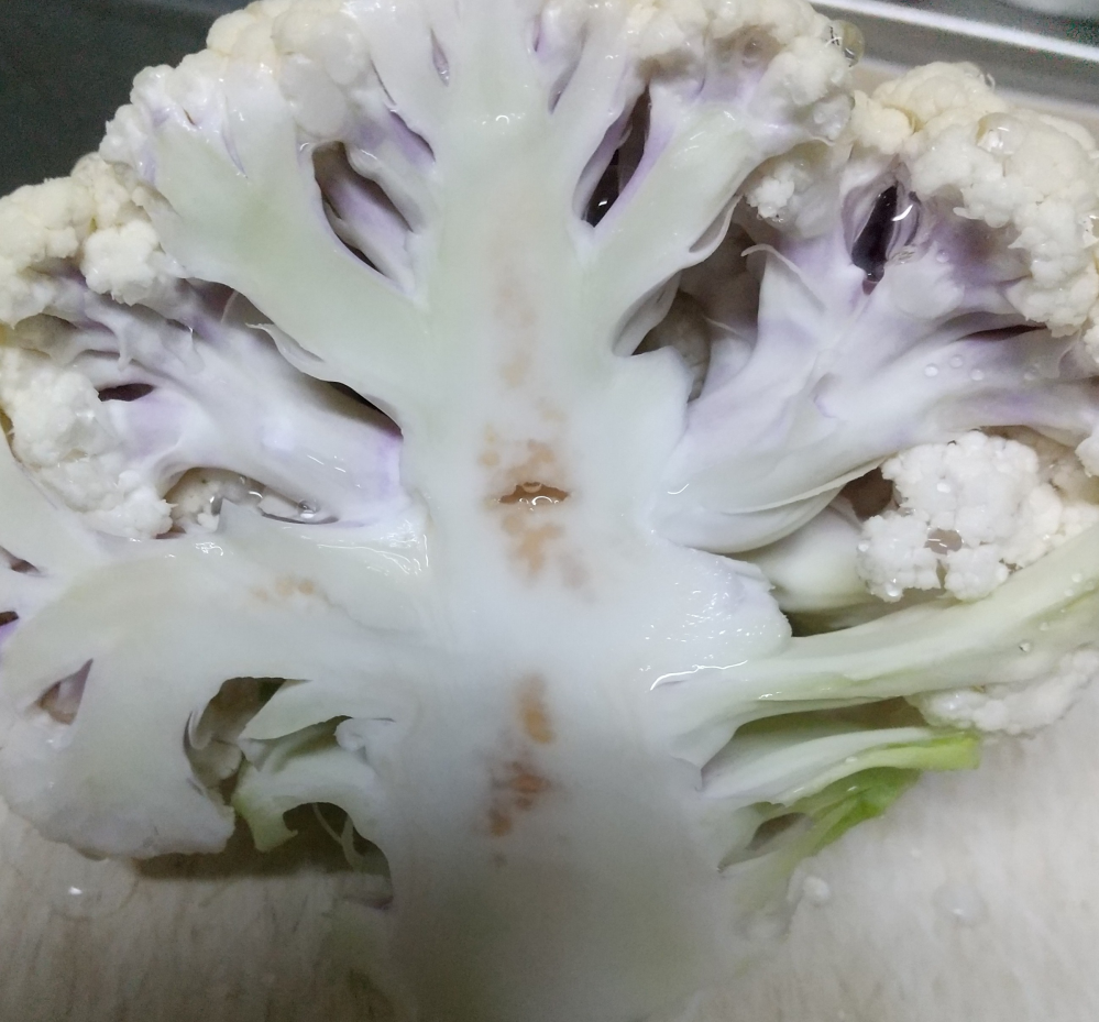 昔なかよしで竹内直子がセーラームーン連載終了後に描いてた「P