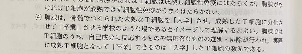 T細胞って胸腺でつくられるわけではないのですか？骨髄でつくられるのですか？ 参考書には、「胸腺で分化する」と書いてあったのですが、「つくられる」と「分化する」は違うのですか？