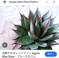 ブルーグローとバーントバーガンディの違いは何か教えていただき